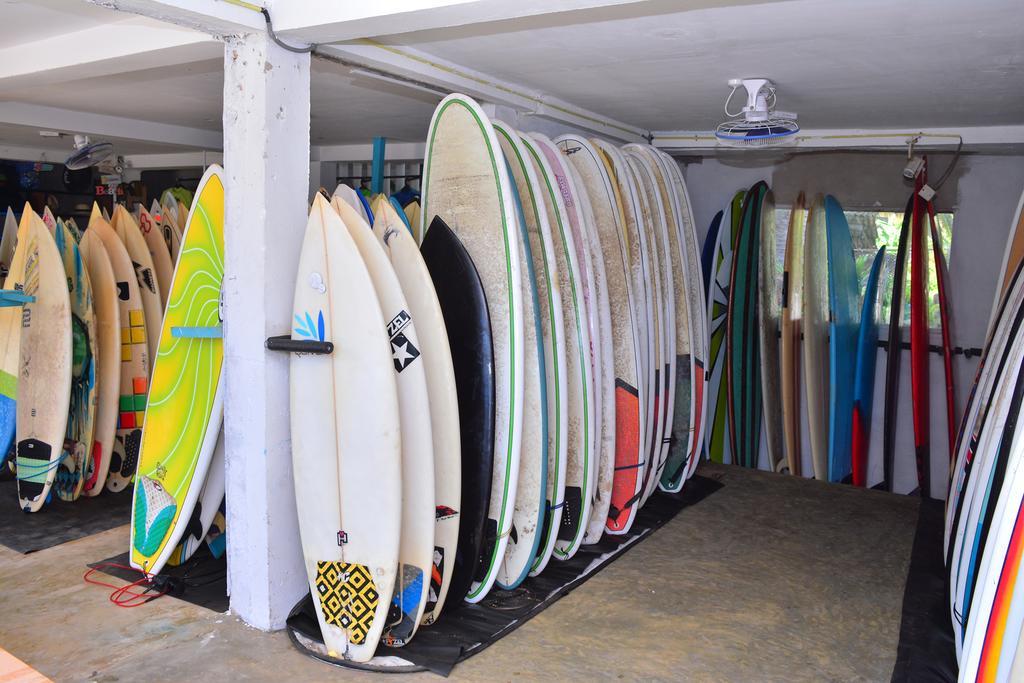 Cheeky Monkey Surf Camp Hotel Weligama Exterior foto
